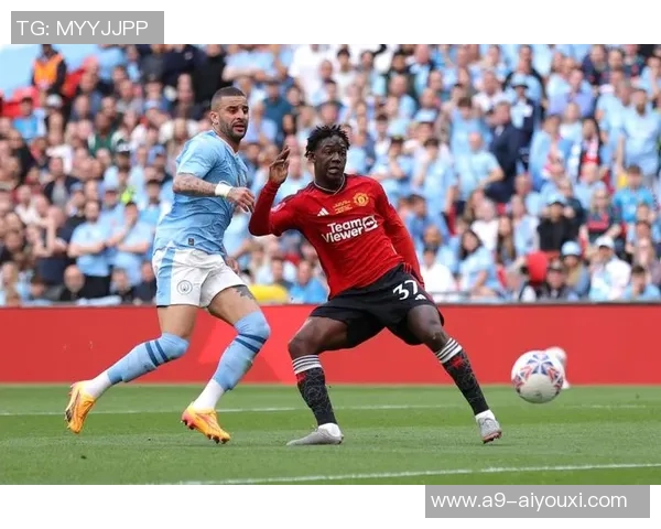 阿森纳与胡尔城足总杯决赛精彩录像回顾与分析